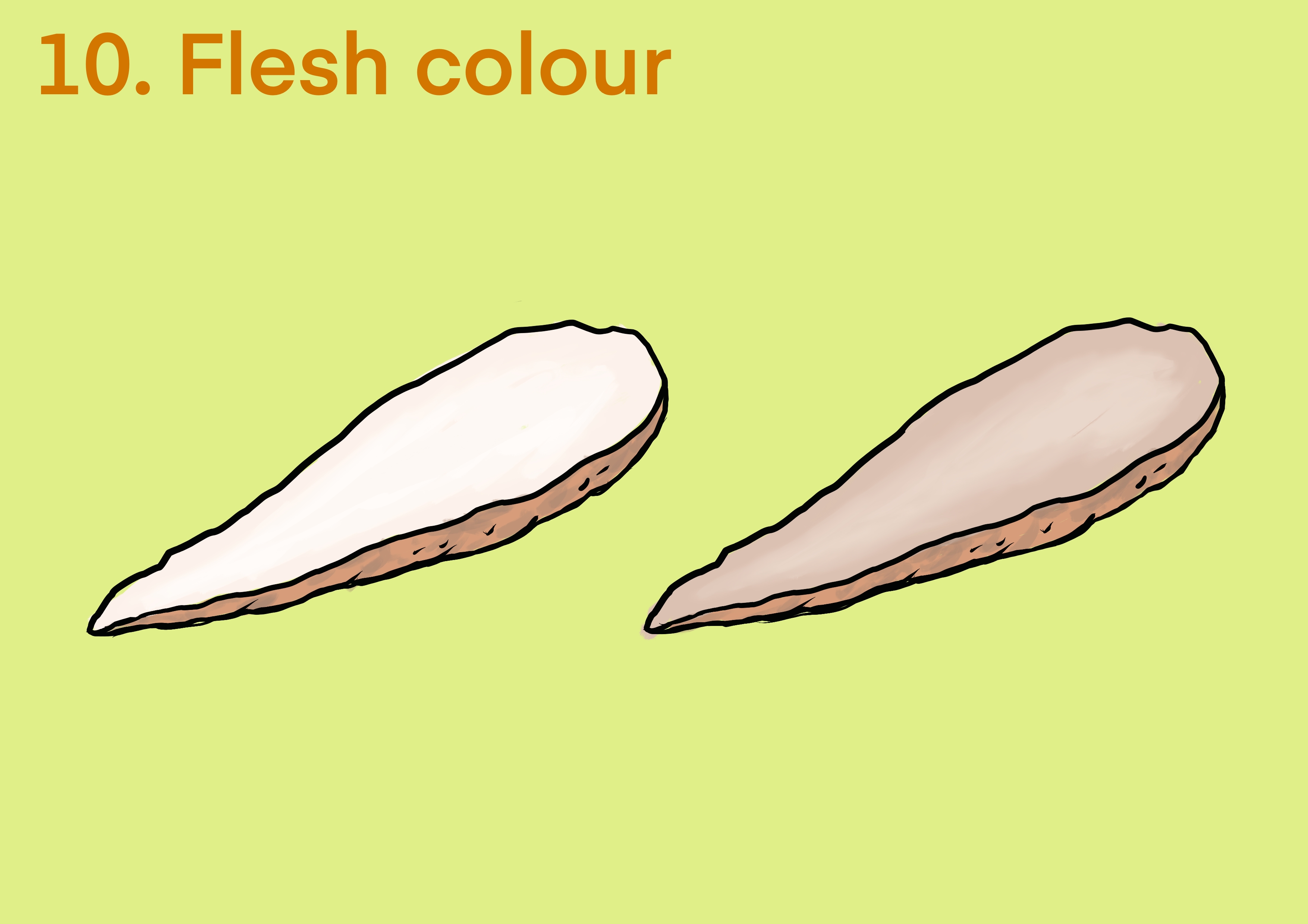 Cassava flesh colour