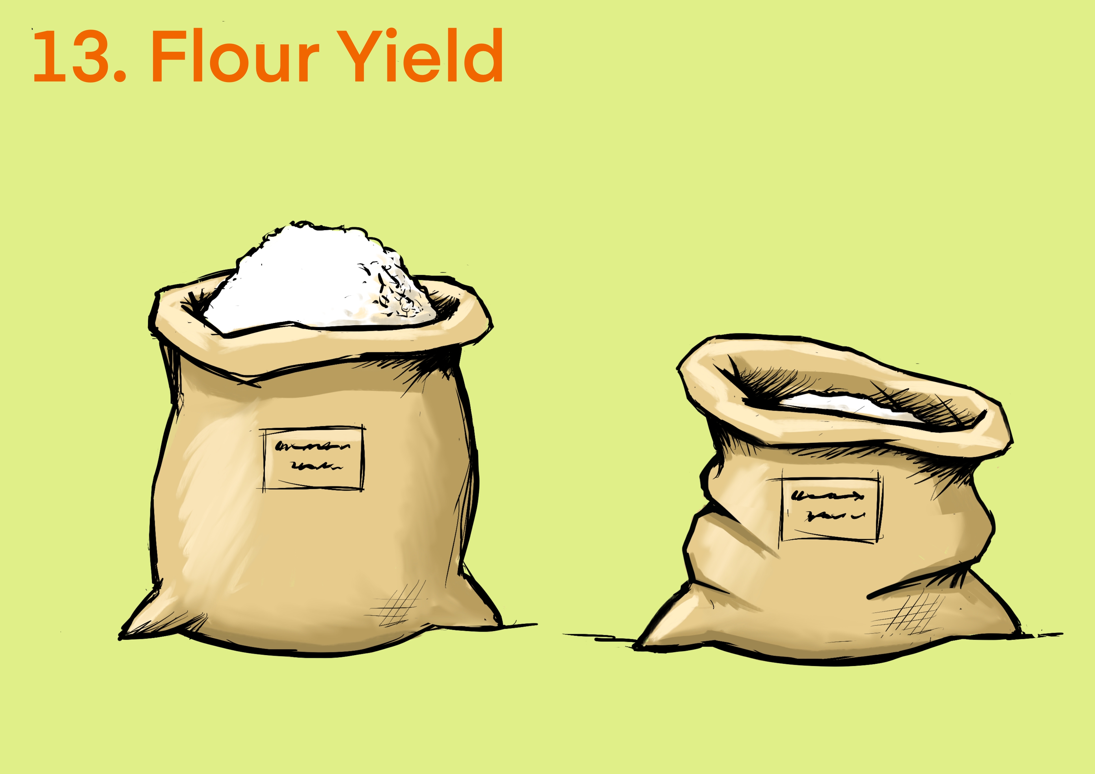 Cassava flour yield