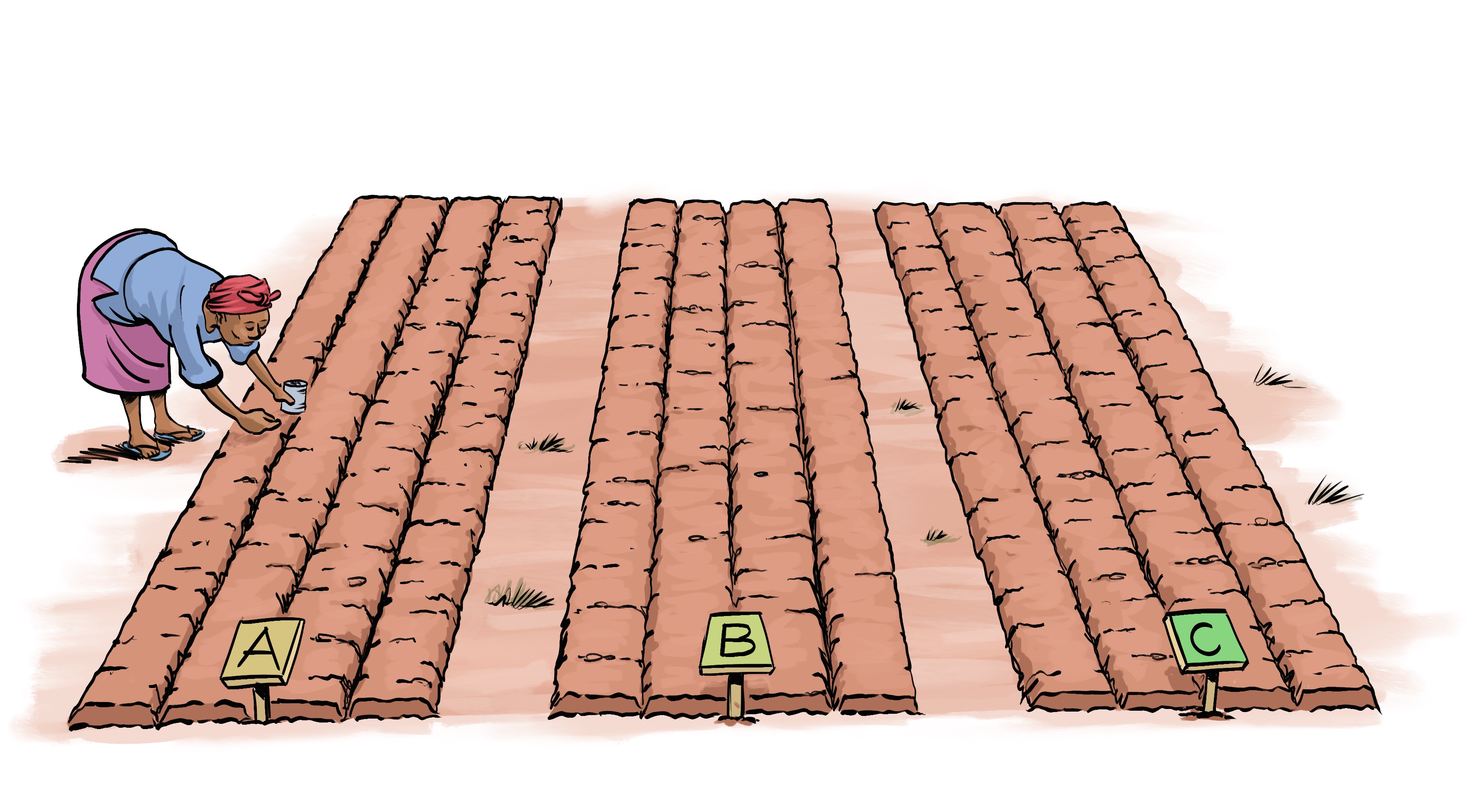 Planting