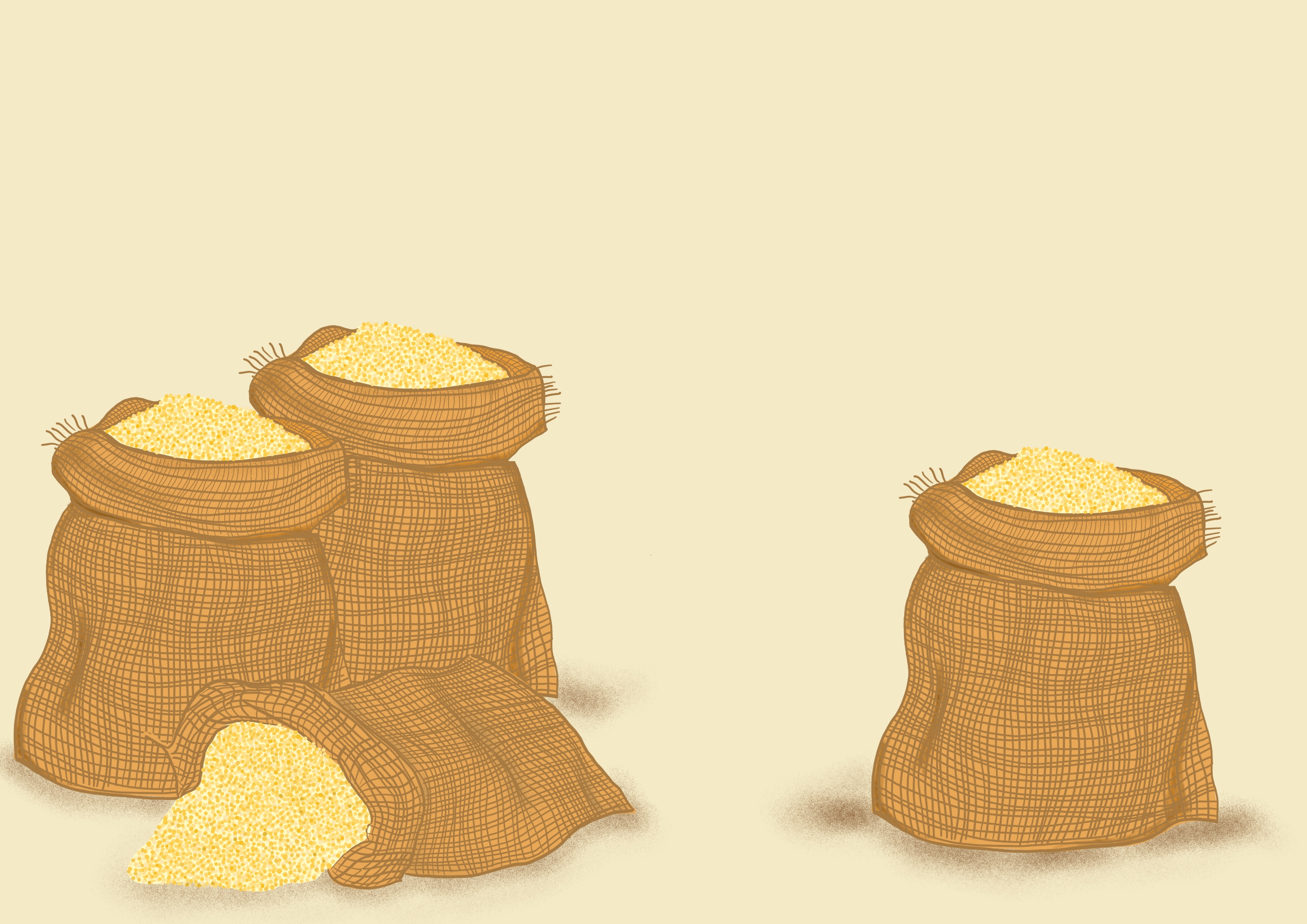 Millet grain yield