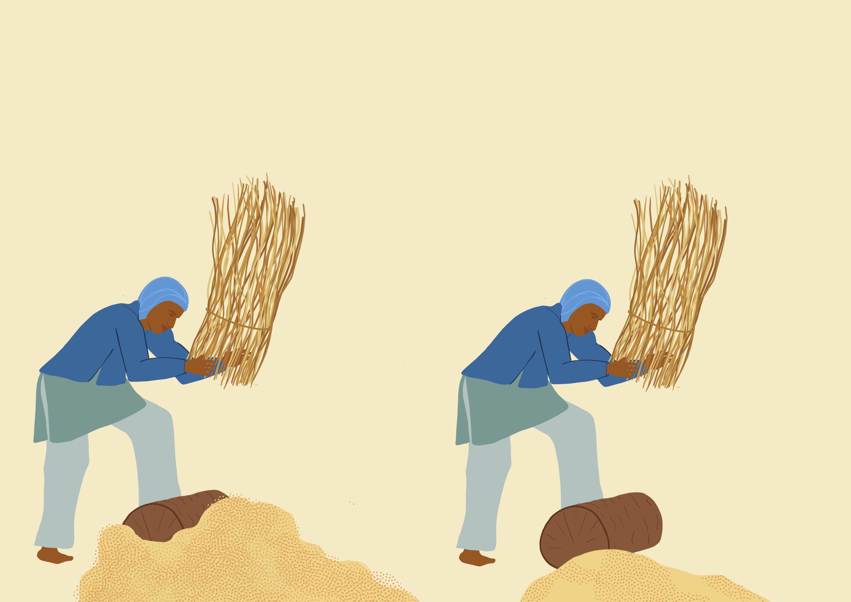 Millet threshability
