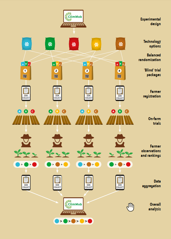 Figure 1. Worflow of the tricot approach using ClimMob
