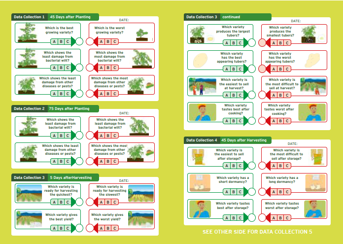 Observation sheet for crop variety evaluation